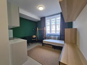 Pronájem bytu 1+kk, Brno, Dominikánské náměstí, 20 m2