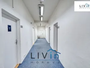 Pronájem kanceláře, Olomouc, Karolíny Světlé, 20 m2