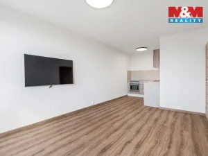 Prodej bytu 2+kk, Teplice - Trnovany, Trnovanská, 43 m2