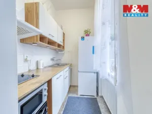 Prodej bytu 1+kk, Plzeň - Východní Předměstí, Plzenecká, 30 m2