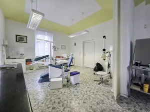 Pronájem komerční nemovitosti, Duchcov, Tyršova, 295 m2