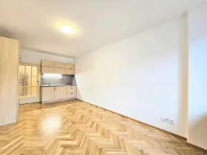 Pronájem bytu 1+kk, Praha - Žižkov, Biskupcova, 30 m2
