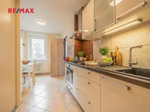 Prodej bytu 1+1, Brandýs nad Labem-Stará Boleslav, Brázdimská, 45 m2