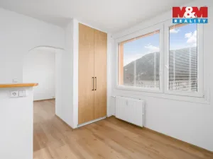 Prodej bytu 1+1, Děčín - Děčín XXVII-Březiny, Kosmonautů, 35 m2