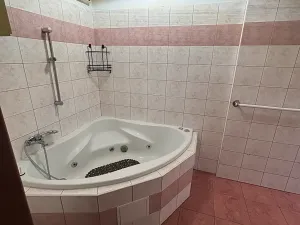 Pronájem bytu 2+1, Praha - Žižkov, Seifertova, 60 m2