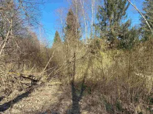 Prodej pozemku, Čachrov - Javorná, 10377 m2