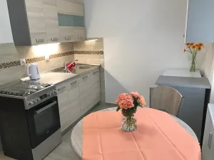 Pronájem bytu 1+1, Frýdek-Místek, Lískovecká, 29 m2