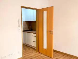 Pronájem bytu 1+kk, Praha - Žižkov, Seifertova, 21 m2