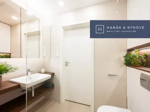 Pronájem bytu 1+kk, Brno, Koliště, 22 m2