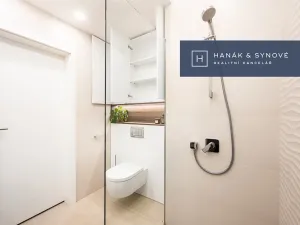 Pronájem bytu 1+kk, Brno, Koliště, 22 m2