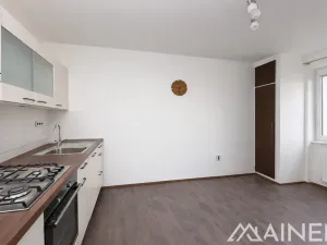 Pronájem bytu 1+1, Plzeň, Lazaretní, 50 m2