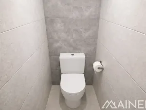 Pronájem bytu 1+1, Plzeň, Lazaretní, 50 m2