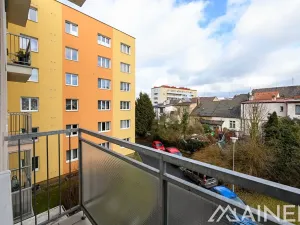 Pronájem bytu 1+1, Plzeň, Lazaretní, 50 m2