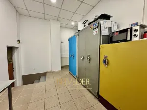 Pronájem obchodního prostoru, Teplice, Masarykova třída, 50 m2