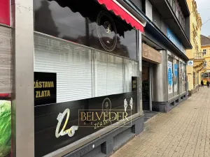 Pronájem obchodního prostoru, Teplice, Masarykova třída, 50 m2