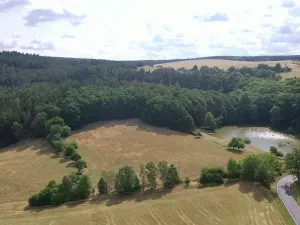 Prodej pole, Nečtiny, 17446 m2