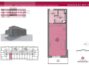 Prodej bytu 1+kk, České Budějovice, Branišovská, 37 m2