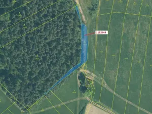 Dražba lesa, Přeborov, 1165 m2