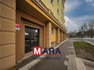 Prodej bytu 2+1, Olomouc, Kaštanová, 64 m2