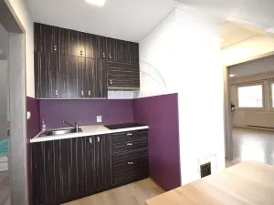 Prodej rodinného domu, Jeseník, Na Stráni, 240 m2