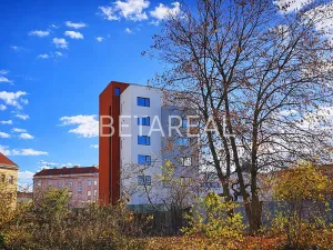 Pronájem bytu 1+kk, Brno, Plotní, 49 m2