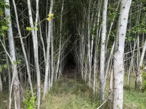 Prodej pole, Česká Kamenice, 108179 m2