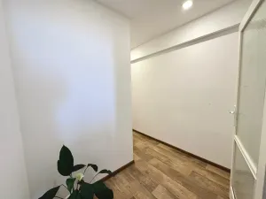 Pronájem bytu 1+1, Praha - Žižkov, U kněžské louky, 70 m2