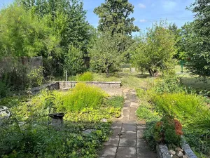 Pronájem zahrady, Brno, 594 m2