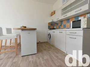 Prodej bytu 1+kk, Chodov, Čapkova, 21 m2