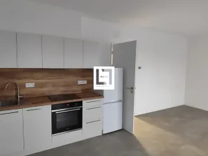 Pronájem bytu 1+kk, Olomouc, Bryksova, 39 m2