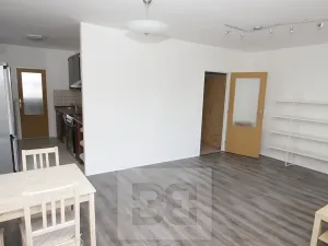 Pronájem bytu 3+kk, Praha - Nusle, Kotorská, 61 m2