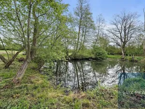 Prodej zemědělské usedlosti, Petrůvky, 2953 m2