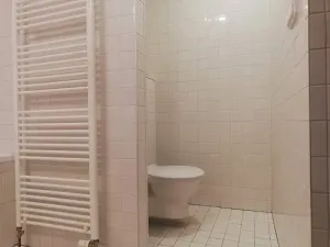 Pronájem bytu 1+kk, Praha - Smíchov, Fráni Šrámka, 46 m2