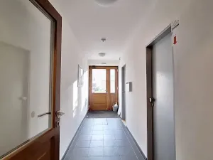 Pronájem bytu 1+kk, Praha - Smíchov, Fráni Šrámka, 46 m2