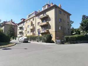 Pronájem bytu 1+kk, Praha - Smíchov, Fráni Šrámka, 46 m2