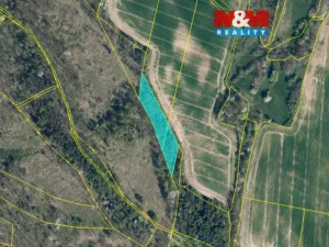 Prodej lesa, Kravaře, 4458 m2