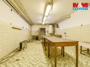 Prodej kanceláře, Bílovec - Lubojaty, 500 m2