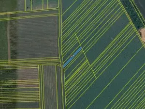 Prodej pole, Lipov, 520 m2