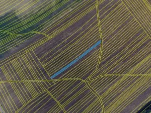 Prodej podílu pole, Radějov, 667 m2