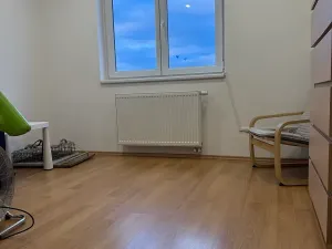 Pronájem bytu 5+kk, Brno, Skořepka, 146 m2