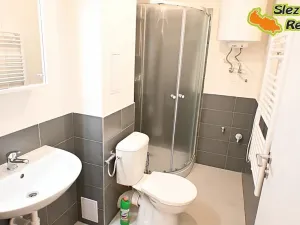 Pronájem bytu 1+kk, Ostrava, Palackého, 26 m2