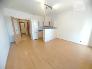 Pronájem bytu 1+kk, Praha - Hloubětín, Nepelova, 29 m2