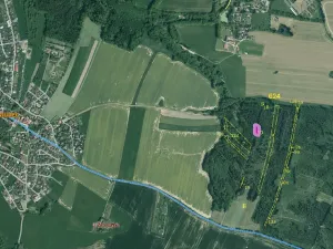 Prodej lesa, Srubec, 677 m2