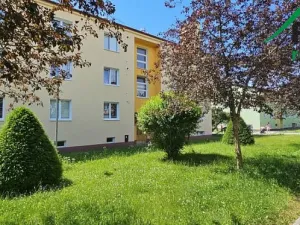 Pronájem bytu 2+1, Chodová Planá, sídliště Lučina, 64 m2