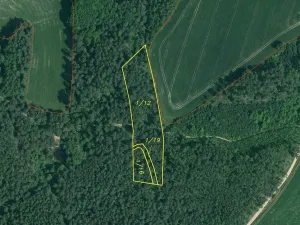 Prodej lesa, Lipí - Kaliště u Lipí, 23659 m2