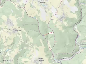 Dražba lesa, Jílové u Držkova, 967 m2