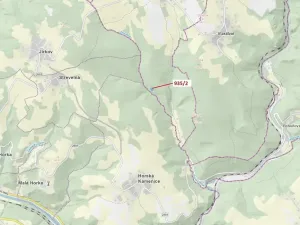 Dražba lesa, Jílové u Držkova, 1684 m2