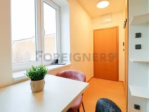 Pronájem bytu 1+kk, Brno, Cyrilská, 23 m2