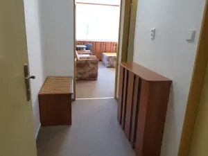 Pronájem bytu 1+kk, Brno, 23 m2