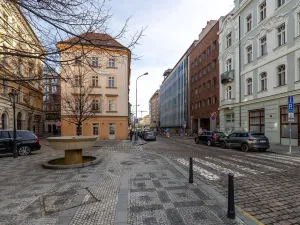 Prodej bytu 3+kk, Praha - Nové Město, Petrská, 77 m2